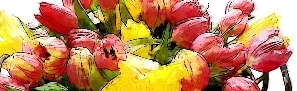 Gelb rote Tulpen “Lass uns das Leben genießen”