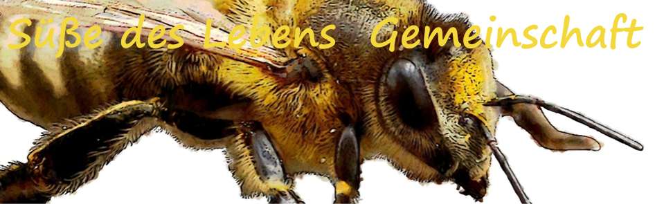 Fleiß beim Krafttier Biene