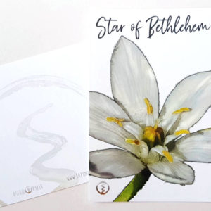 shop-Bachblüte-Star-of-Bethlehem-Originalkarte