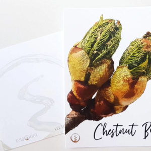 shop-Bachblüte-chestnut-bud-Originalkarte