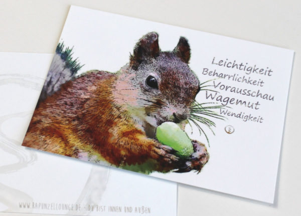 shop-Krafttierkarte Eichhörnchen Werte Originalkarte