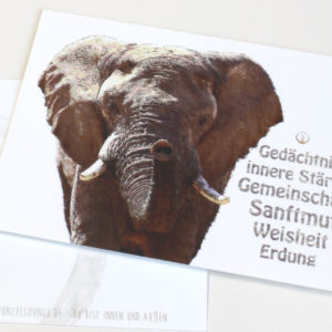 shop-Krafttierkarte Elefant mit Werten Originalkarte