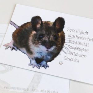 shop-Krafttierkarte Maus Werte Originalkarte