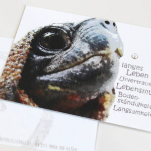 shop-Krafttierkarte Schildkröte Werte Originalkarte