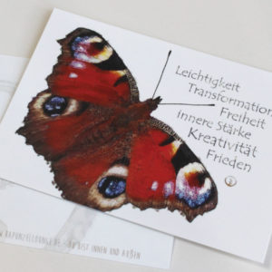 shop-Krafttierkarte Schmetterling Werte Originalkarte