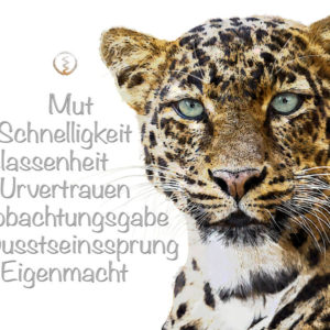 shop-Krafttierkarte Leopard Werte