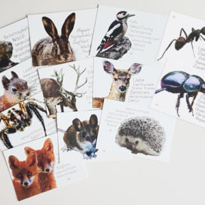 Heimische Waldtiere 12er postkarten set