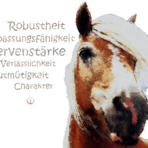 Krafttier Pferd Haflinger Wandbild Werte