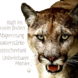 Krafttier Puma Wandbild Werte