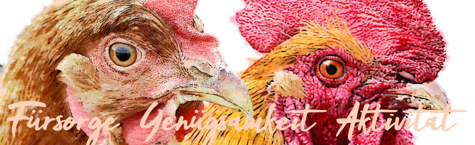 Krafttier Huhn Artikelbild