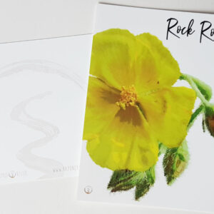 shop-Bachblüte-Rock Rose-Originalkarte