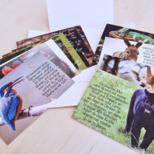 Krafttier Botschaften geöffnetes Postkarten Set